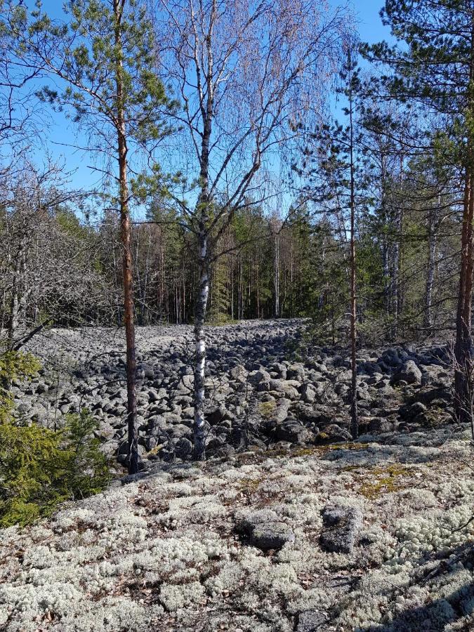 Lehmirannan Lomakeskus Hotel Salo  Luaran gambar